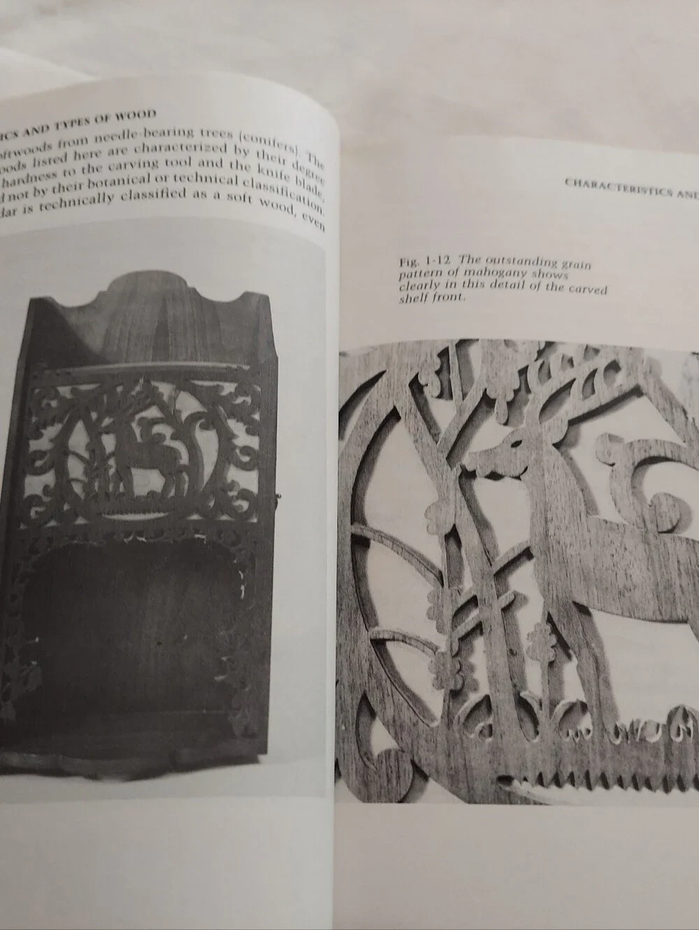 Woodcarving Simplified by Graciela L. Fazzalare-Chilton Hobby Series-illistrated